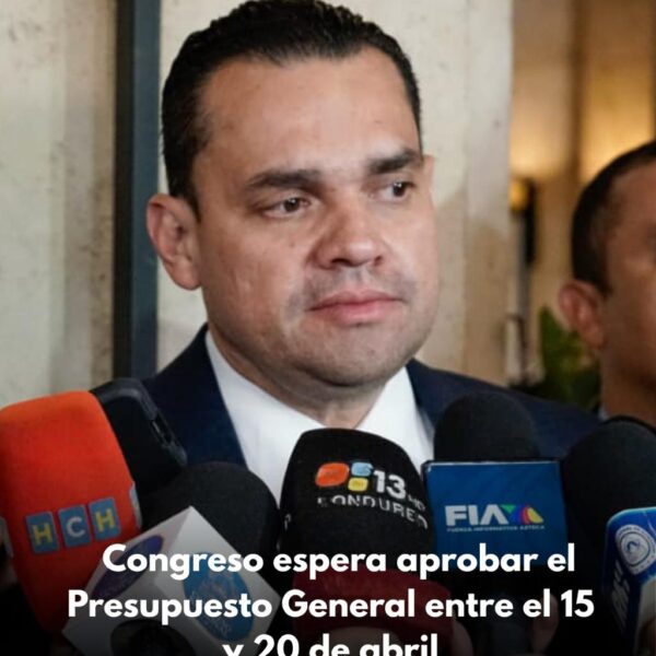 Congreso espera aprobar el Presupuesto General entre el 15 y 20 de abril